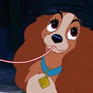 Meet your Posher, Nevaeh